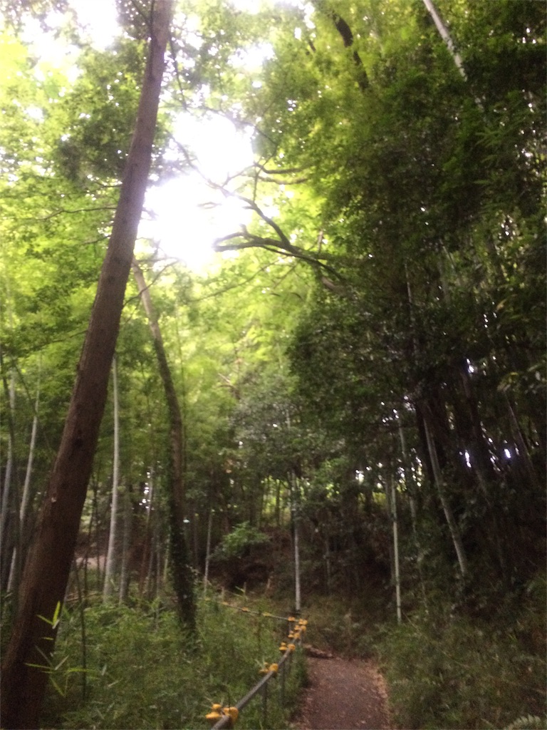 f:id:ryota16yfc:20160831041955j:image