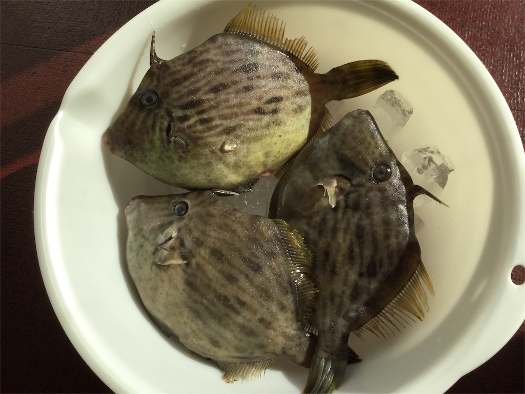 f:id:ryotadohi:20171105135303j:plain f:id:ryotadohi:20171105135303j:plain
