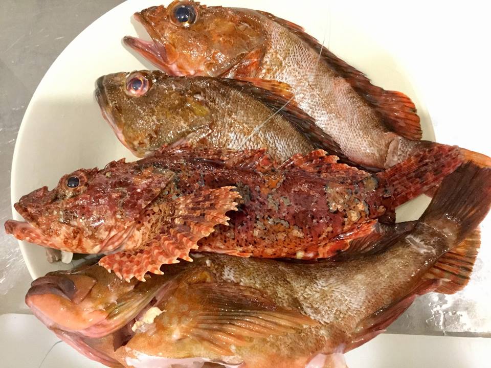 岸釣りインテリジェンス