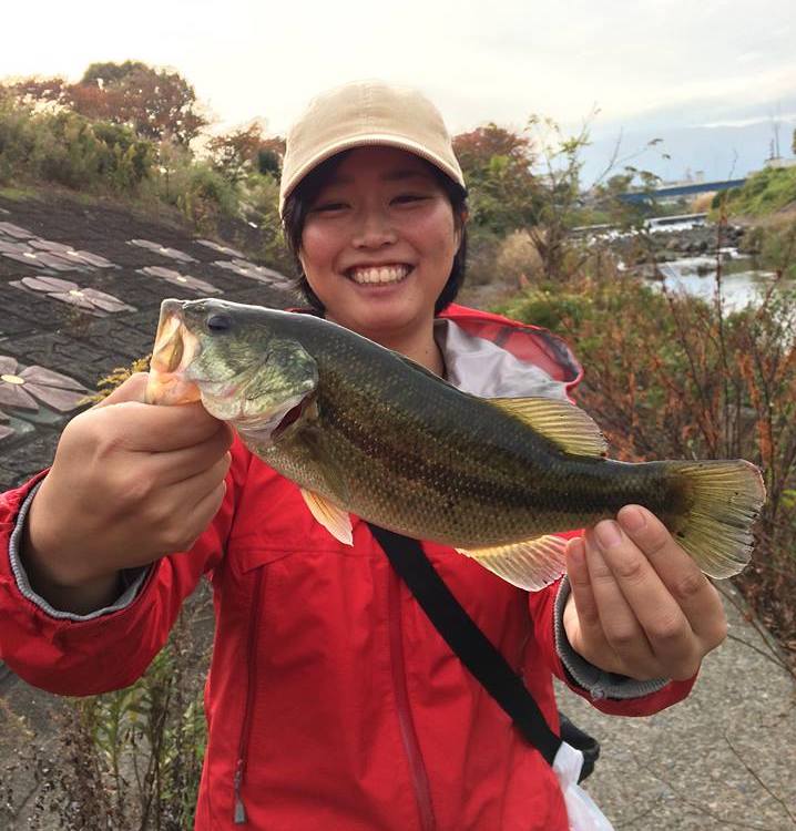 f:id:ryotadohi:20181206003940j:plain