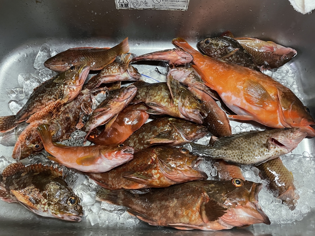 f:id:ryotadohi:20210918023107j:plain