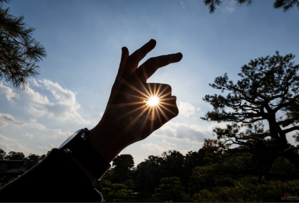 f:id:ryotaro1122:20200824112608p:plain