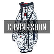 f:id:ryotaro_ikeda:20200401211914j:plain