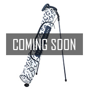 f:id:ryotaro_ikeda:20200401211930j:plain