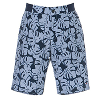 f:id:ryotaro_ikeda:20210325114718j:plain