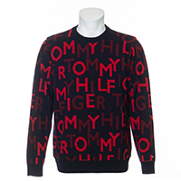 f:id:ryotaro_ikeda:20211007204007j:plain