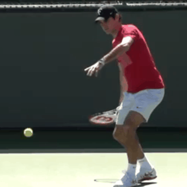 f:id:ryotenagaebi2018:20180215080954g:plain