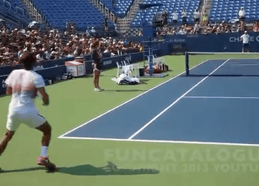 f:id:ryotenagaebi2018:20180223105501g:plain