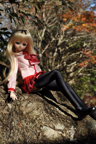 f:id:ryouse1366:20111123203426j:image