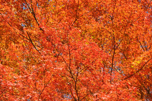 f:id:ryouse1366:20111123203429j:image