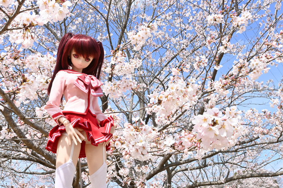 f:id:ryouse1366:20220402164111j:plain