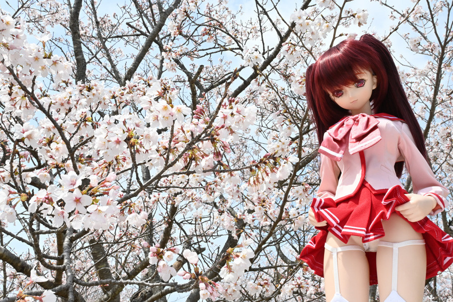 f:id:ryouse1366:20220402170136j:plain