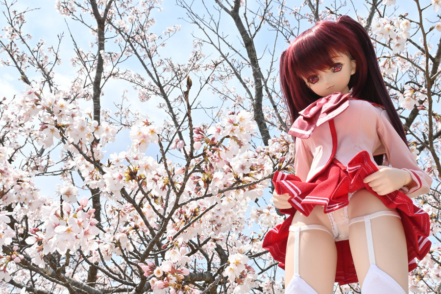 f:id:ryouse1366:20220402170146j:plain