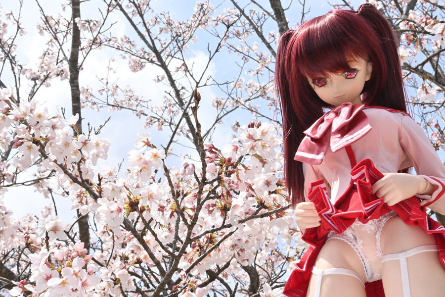 f:id:ryouse1366:20220402170154j:plain