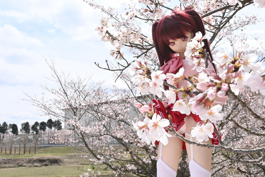 f:id:ryouse1366:20220402170212j:plain