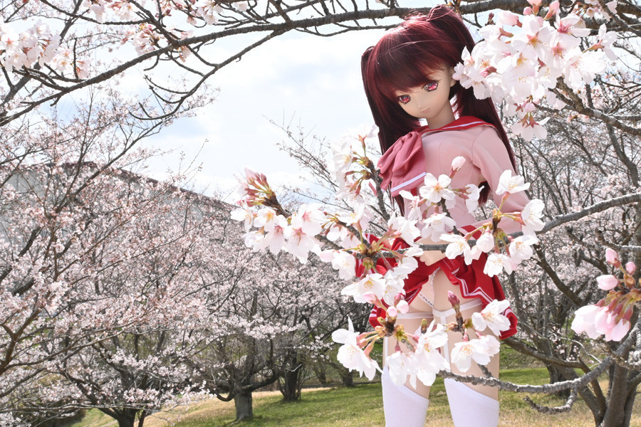 f:id:ryouse1366:20220402170220j:plain