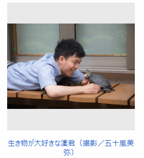 f:id:ryoushinn11:20181009200512p:plain f:id:ryoushinn11:20181009200512p:plain