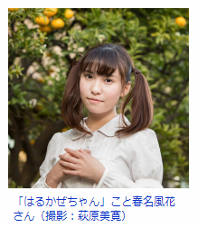 f:id:ryoushinn11:20190213195100p:plain f:id:ryoushinn11:20190213195100p:plain