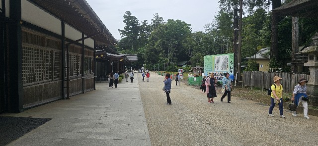 f:id:ryouta_hitoritabi:20250614134559j:image