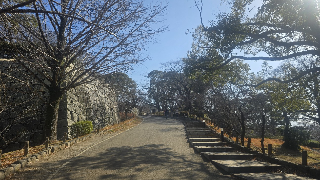 f:id:ryouta_hitoritabi:20260205171721j:image