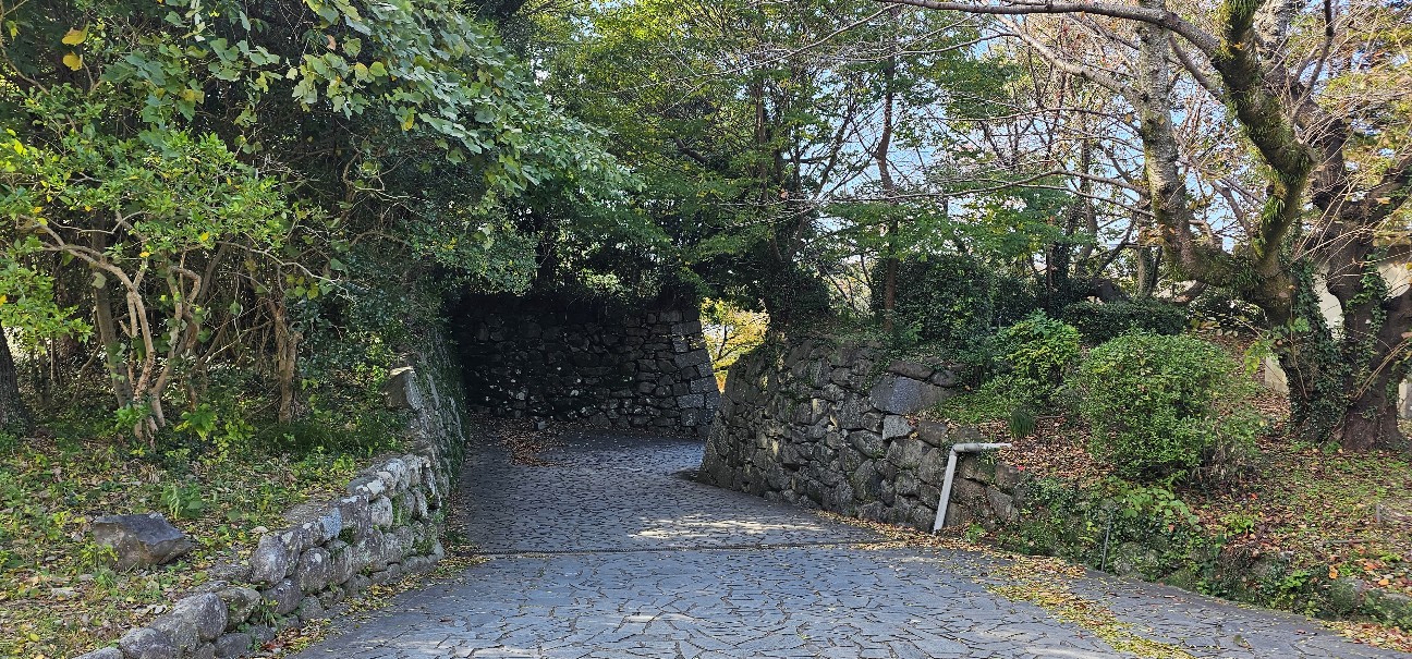 f:id:ryouta_hitoritabi:20260207140751j:image
