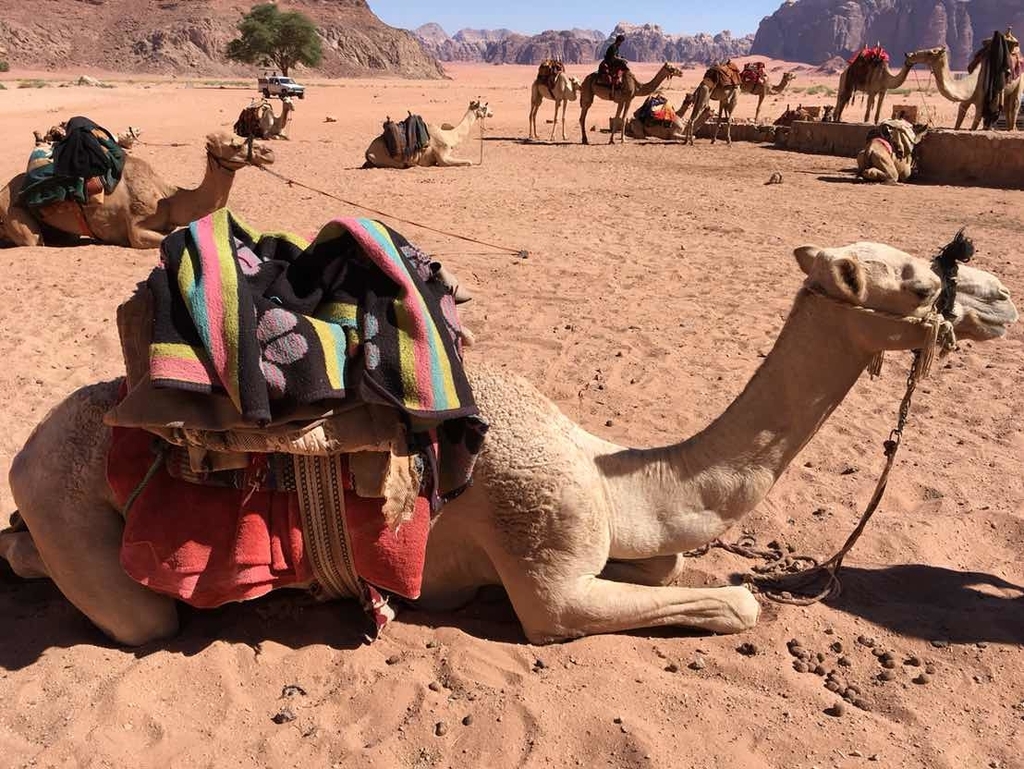 ヨルダン・ワディラム砂漠でおすすめの格安ツアー！Wi-Fi付きの