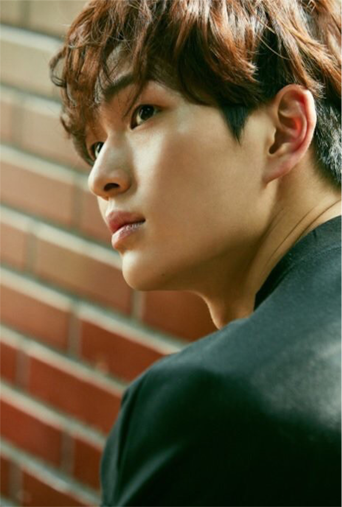 f:id:ryoyu2327:20190115230426p:image