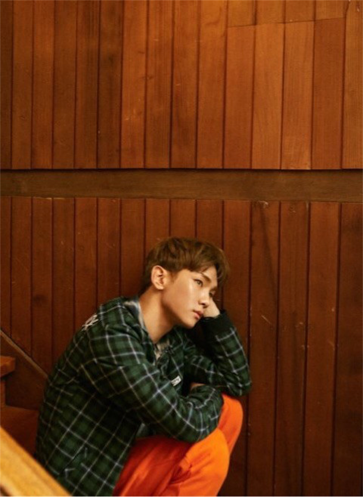 f:id:ryoyu2327:20190115230433p:image