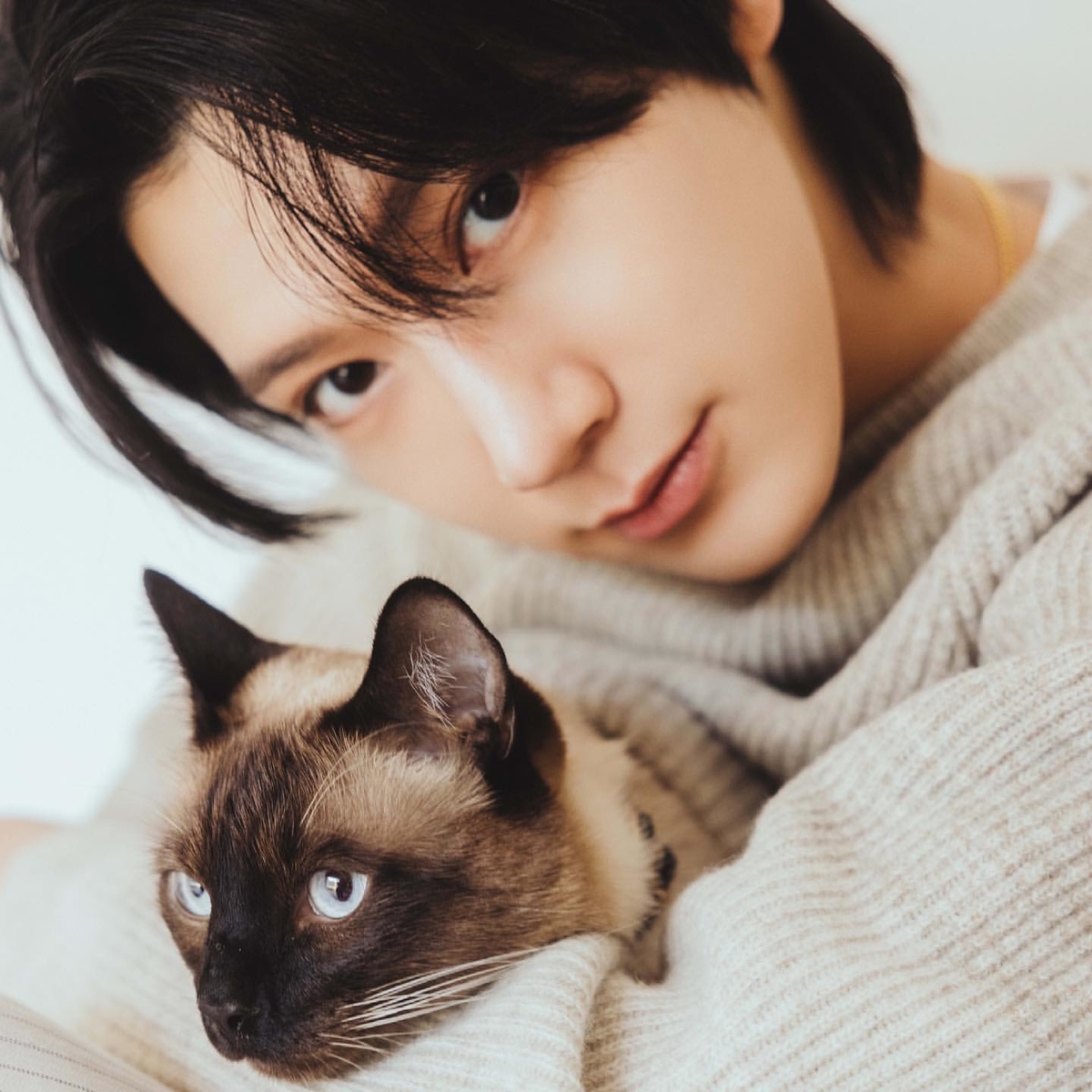 f:id:ryoyu2327:20210611231750j:plain