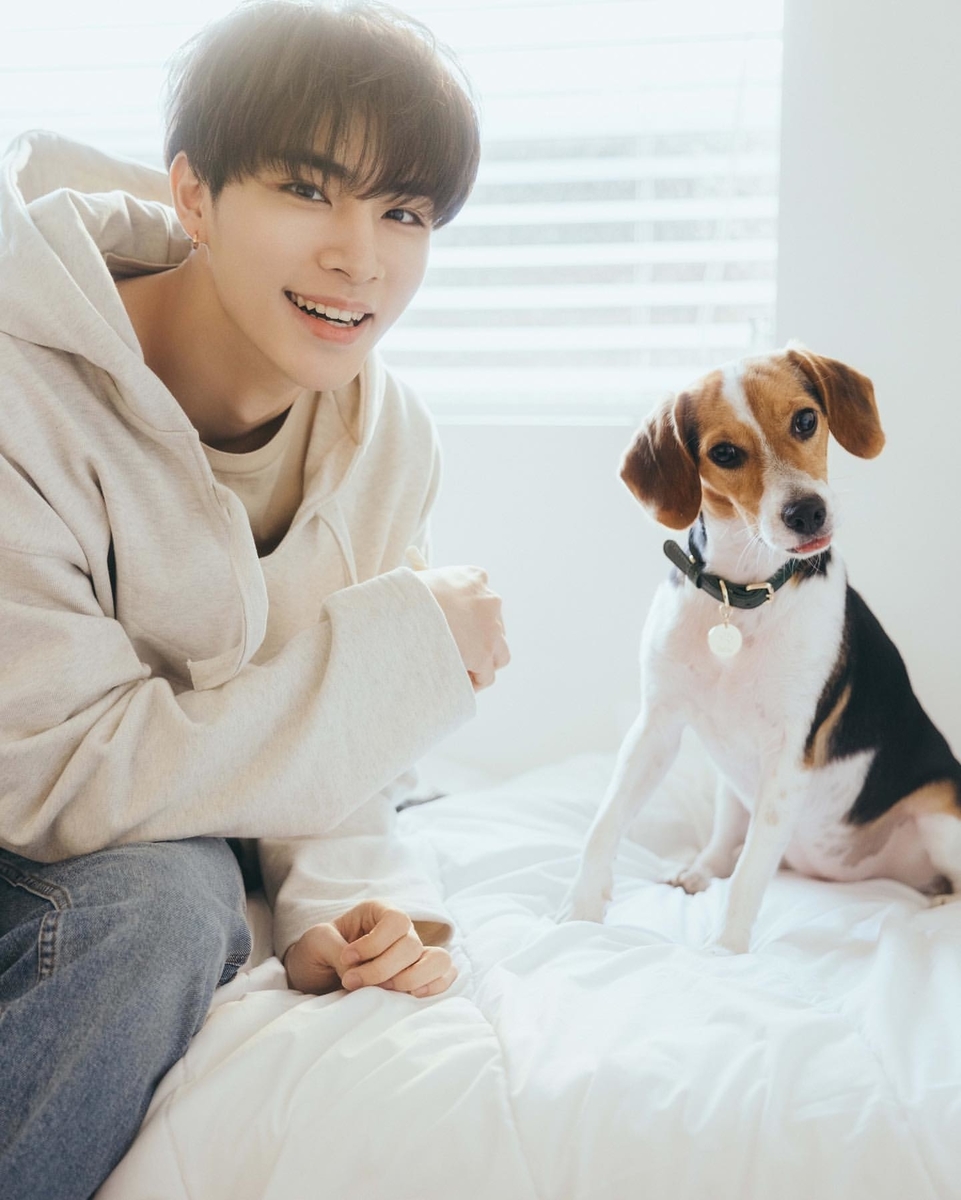 f:id:ryoyu2327:20210611231814j:plain