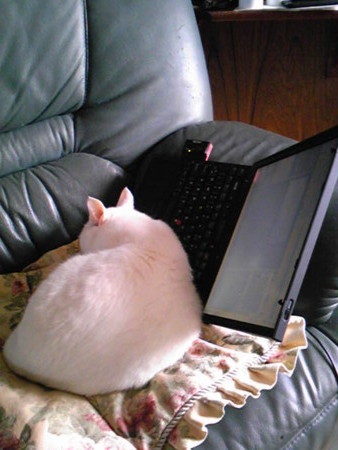 f:id:ryskosn:20090101122600j:image