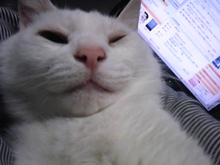 f:id:ryskosn:20090101203900j:image