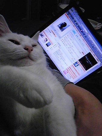 f:id:ryskosn:20090101204000j:image