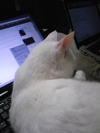 f:id:ryskosn:20090101210100j:image