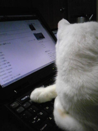 f:id:ryskosn:20090101210300j:image