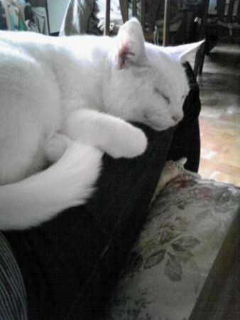 f:id:ryskosn:20090104140900j:image