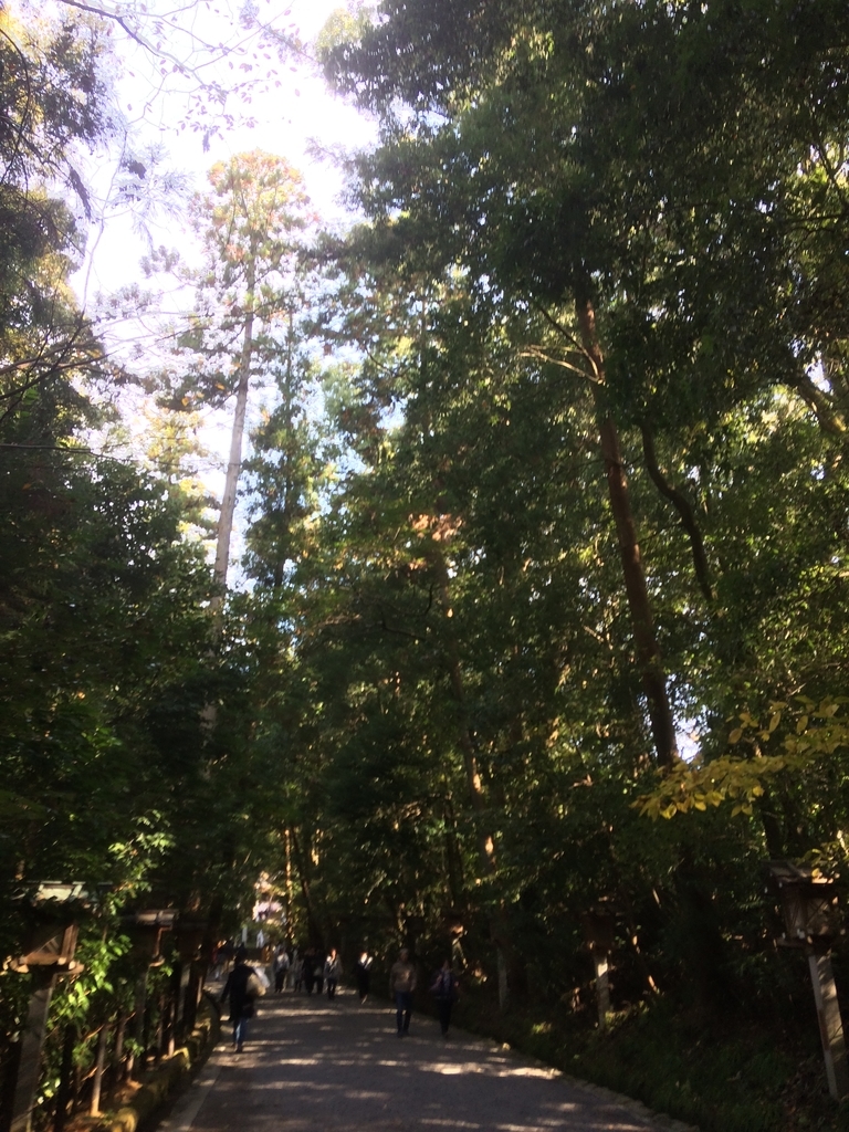 f:id:ryu-chun:20181210004852j:plain