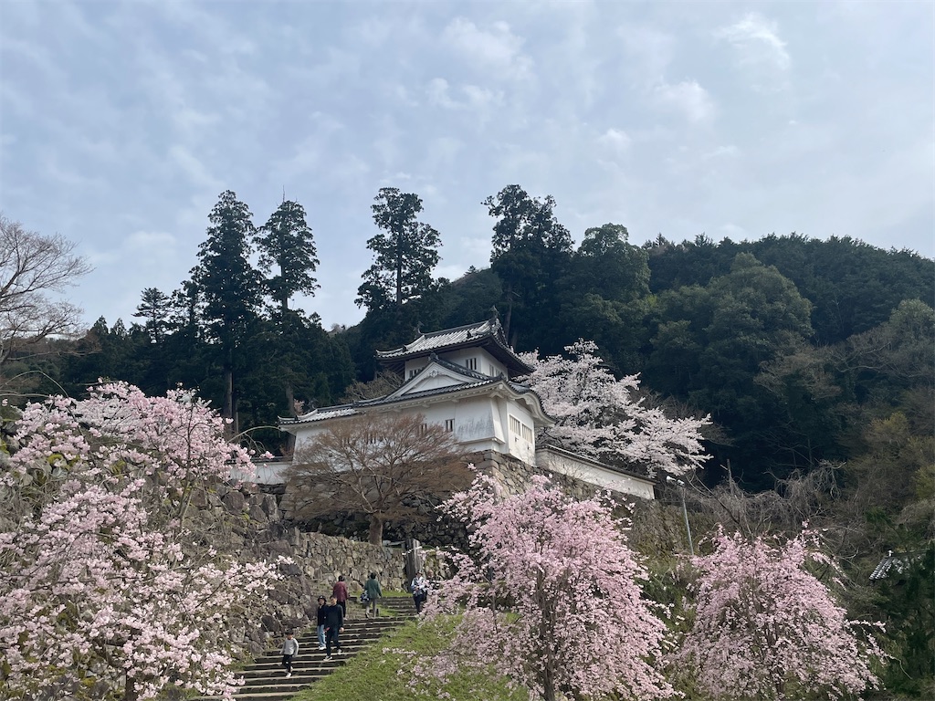 f:id:ryu01rio07:20240406235047j:image f:id:ryu01rio07:20240406235047j:image
