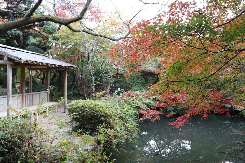 f:id:ryu1001:20181109135422j:plain f:id:ryu1001:20181109135422j:plain