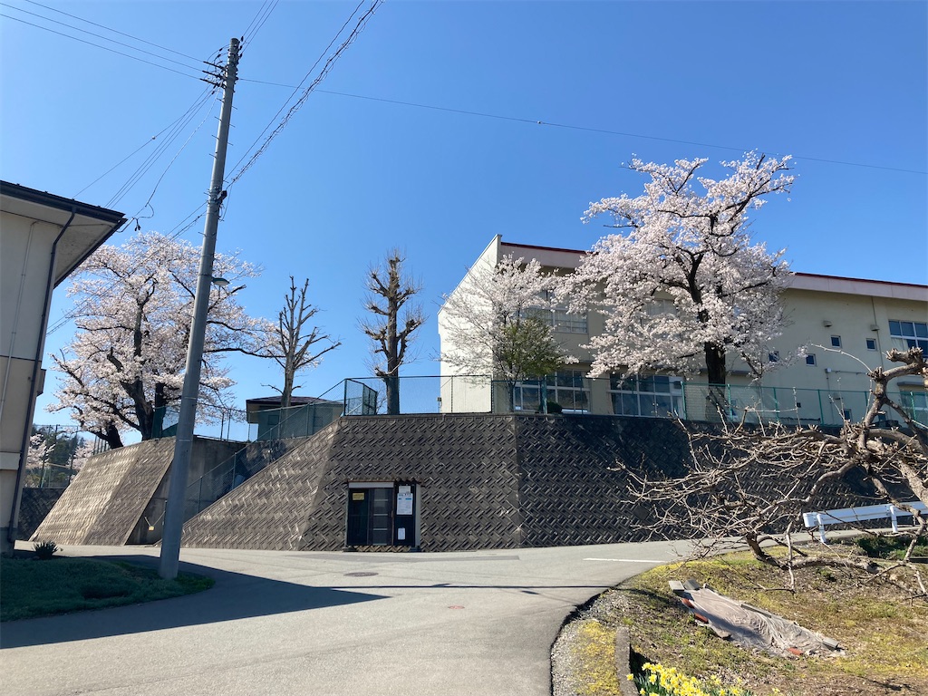 f:id:ryu14950:20220417162141j:image