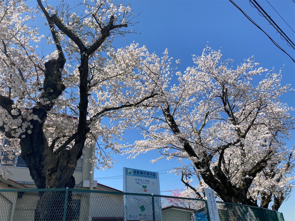 f:id:ryu14950:20220417162219j:image