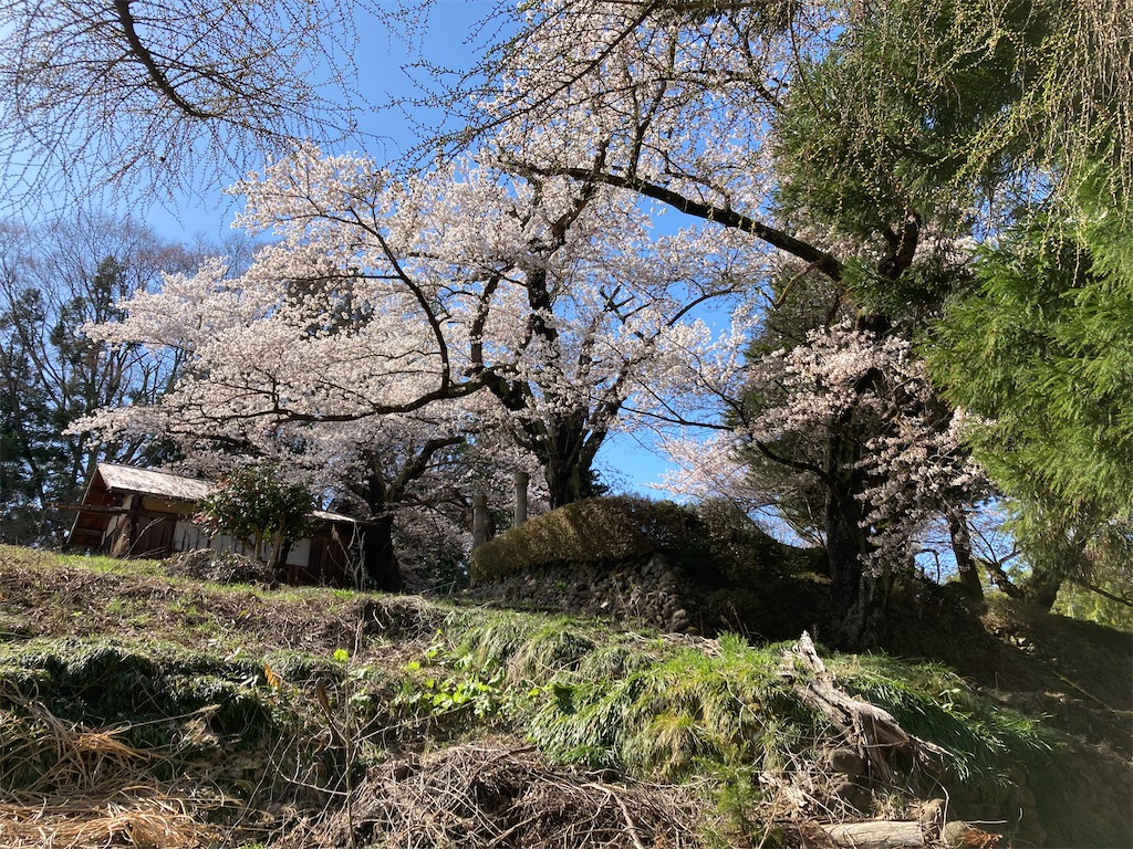 f:id:ryu14950:20220417162709j:image