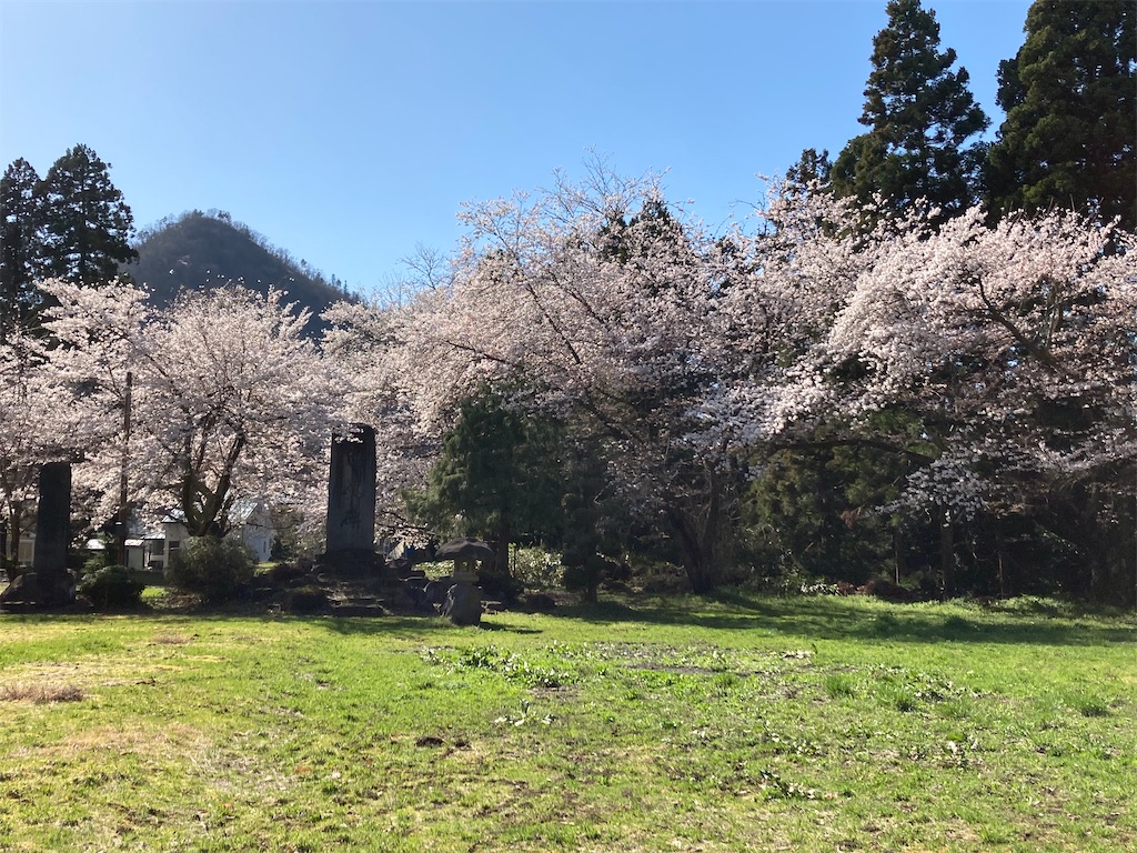 f:id:ryu14950:20220418220400j:image