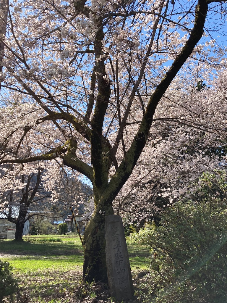 f:id:ryu14950:20220418220443j:image