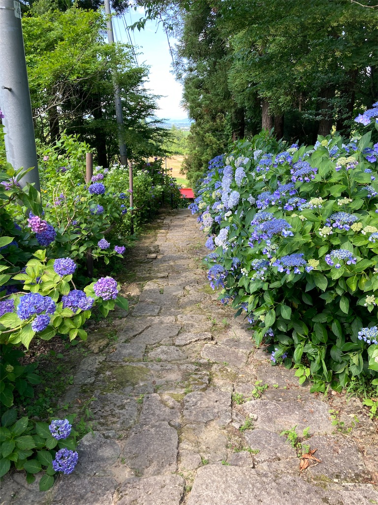f:id:ryu14950:20220710204553j:image