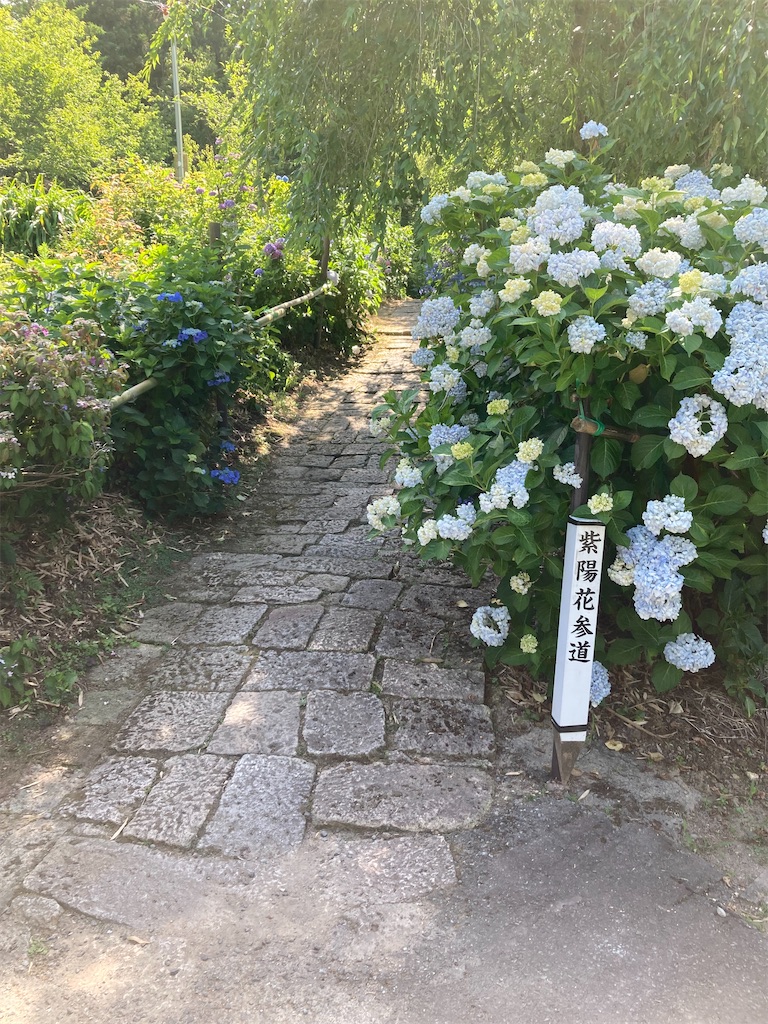 f:id:ryu14950:20220710204631j:image
