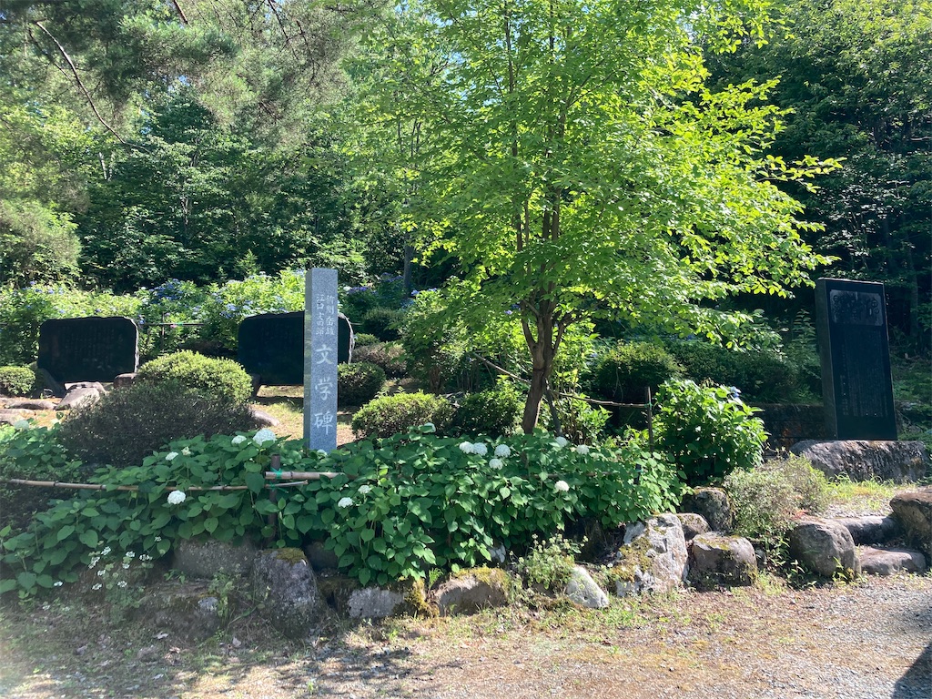 f:id:ryu14950:20220710205635j:image