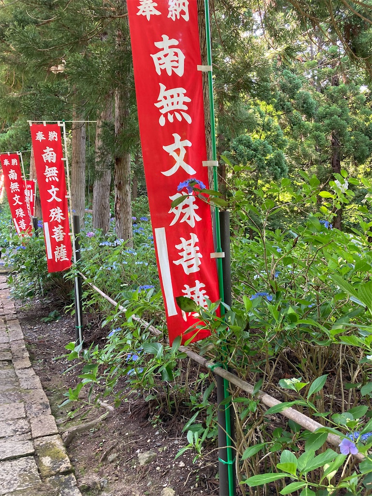 f:id:ryu14950:20220710205639j:image