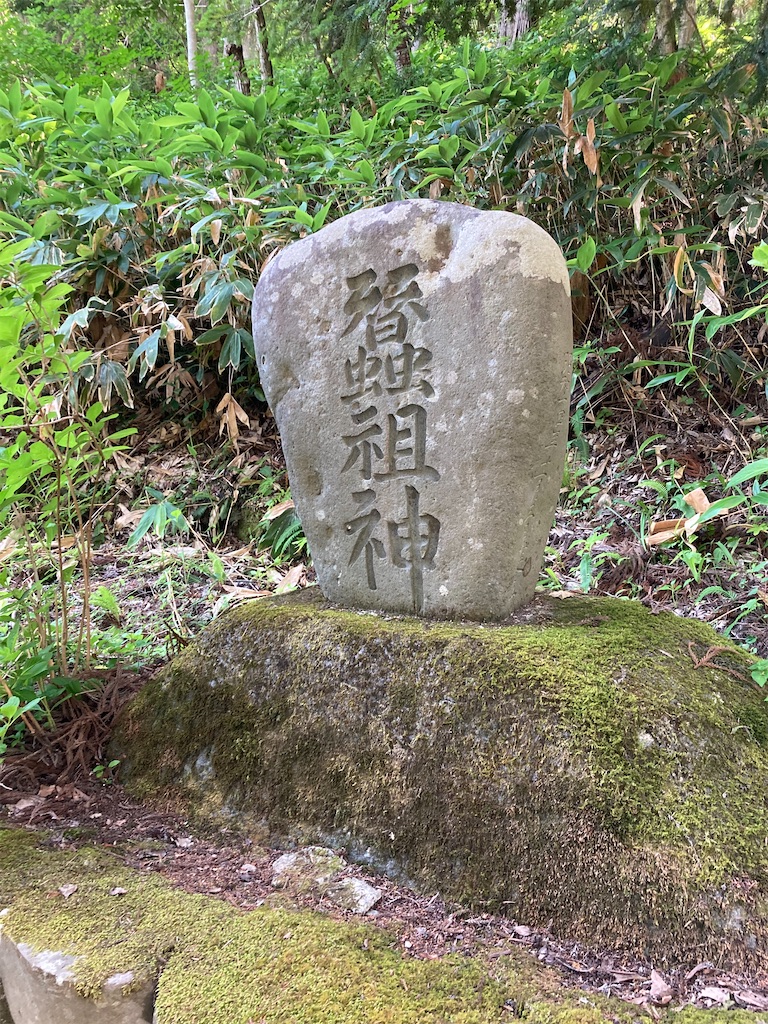 f:id:ryu14950:20220710205727j:image