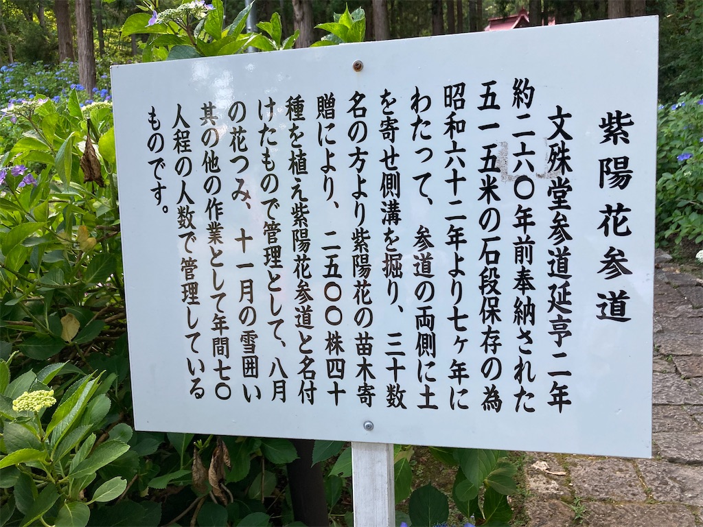 f:id:ryu14950:20220710205735j:image